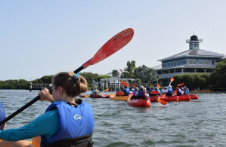 Dolphin surfacing near kayaks on Shem Creek