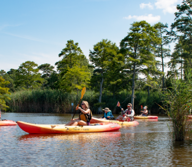 Kayakers paddling the Shem Creek salt marsh at sunset